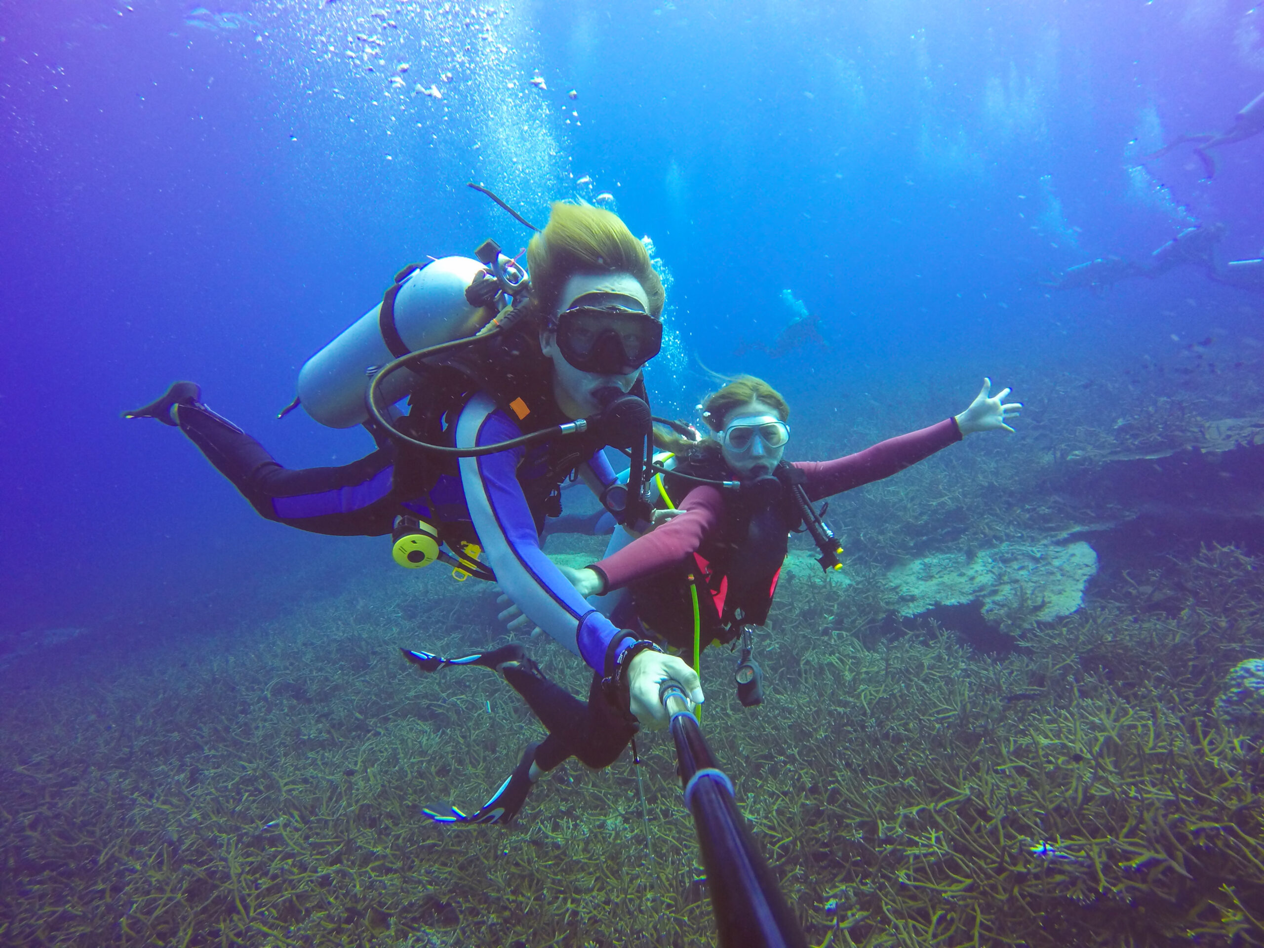 Plongée sous-marine en groupe – Exploration du tombant aux mérous